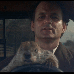 groundhog-day-gif-6