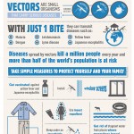 world health infographic