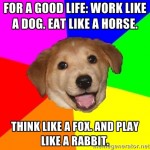 work like a dog think like a fox