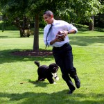 work like a dog Obama
