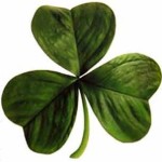 St Pats Irish_clover