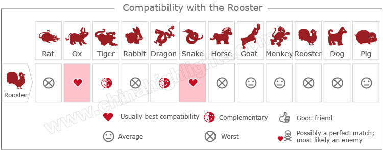 Rooster Compatibility 